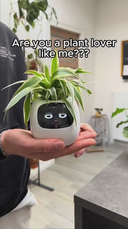 Smart Planter Endless Fun Over 49 Rich Expressions 7 Smart Sensors And AI Chips Make Raising Plants Easy And Fun