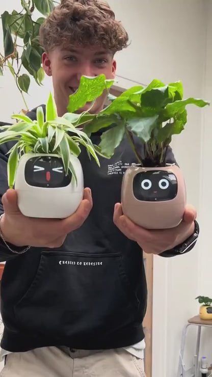 Smart Planter Endless Fun Over 49 Rich Expressions 7 Smart Sensors And AI Chips Make Raising Plants Easy And Fun