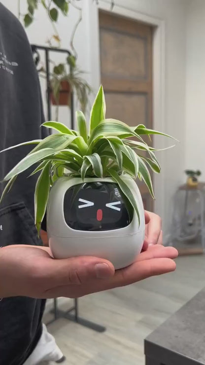 Smart Planter Endless Fun Over 49 Rich Expressions 7 Smart Sensors And AI Chips Make Raising Plants Easy And Fun